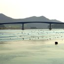 바다정원 이미지