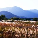 강변공원 주차장 이미지