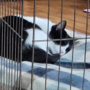 미암상회 | 할 수 있어 살아남아야 해