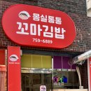 몽실통통꼬마김밥