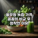 신선한녹즙 - 부산진구 | 풀무원 녹즙 가격 꼼꼼히 비교 후 정착한 이유