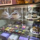 플레이스38 이미지