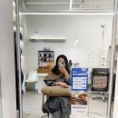 기장문화원 | [공지] 대전 복구매직! 기장 추가 없는 손상모 복구 매직 블랑