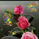 일만농장 이미지