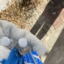 경주세탁소 이미지