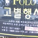 기비&키스 이미지