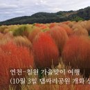 연천우체국 | 25개월 아기와 연천-철원 2박 3일 (1) (댑싸리공원 10월 3일 현황)