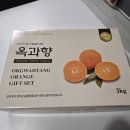 옥과농협 | 곡성농협 옥과향 첫수확!! 향도 좋고 맛도좋은 천혜향 옥과향 설명절 과일선물 추천해요!!!