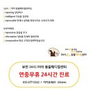 강아지와 고양이의 빈혈은 어떻게 되는 걸까요?
