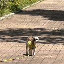 아저씨돈까스 이미지