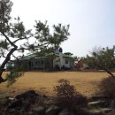 영일농장 이미지