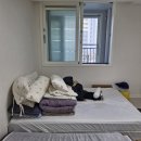 효성코오롱아파트경로당 | 이사 잘하는곳 동서익스프레스의 꼼꼼한 장거리 포장이사 석적 효성헤링턴에서 영천 문외동 코오롱하늘채