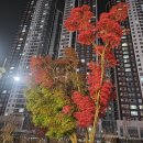 인생포차 - 성동구 마장로 319-1 | 인생포차