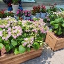 미소마을경로당 이미지