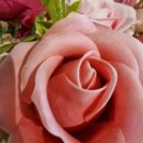 선덕 사우나 이미지