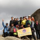 동산초교 이미지