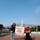 안성시 교통약자이동지원센터 이미지