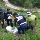 기동반-50 이미지