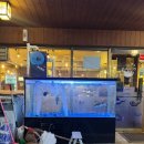 까치복집 | 복불고기+까치복지리 22000원! 가성비 넘치는 강남 복집, 수림복국 본점 후기