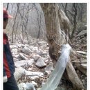 고로쇠산장