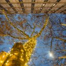 야경(Night l 이미지