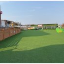 댕댕랜드 이미지