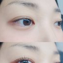 도안동로 11번길 | 대전 도안속눈썹펌 이끌림뷰티 솔직후기! 도안 속눈썹펌 가성비 최고맛집인정!