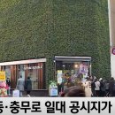 네이처시가 Daum카페