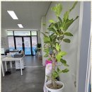 가연재가요양센터 이미지