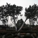 한옥재동