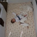굿베드 - 용인시 처인구 백옥대로 2162 | 아기 침대 추천 키디몽드 꾸므로 데이베드 내돈내산 후기 아기가 꿀잠자는 침대