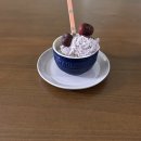 체리블러썸 | 스타우브 체리블러썸 플레이트 접시 15cm 20cm 크기 비교 리뷰