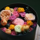 화랑플라워