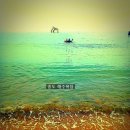 송도해수욕장 이미지