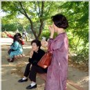 정과담