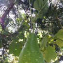 새벽농장 이미지