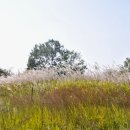 계절그리기 이미지