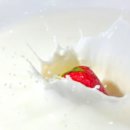 영덕 강구 동물 약국 | 영덕 맛집 대게 추천 현지인 베스트 10