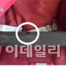 쿼니야 이데일리