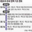 안도 이미지