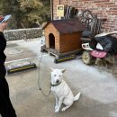 스테이 아모 이미지