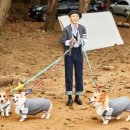 멍멍&DOG 이미지