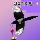 꿈나라 이미지