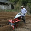 고랑정미소 이미지