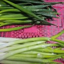 남원로 442번길 이미지