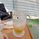 우유일기 네이버블로그