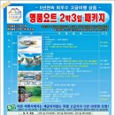 국제드림항공여행사