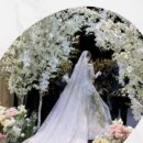엘로디스튜디오