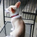 펜션갈까요 이미지