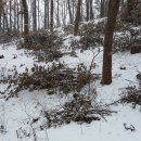 상노농장 이미지